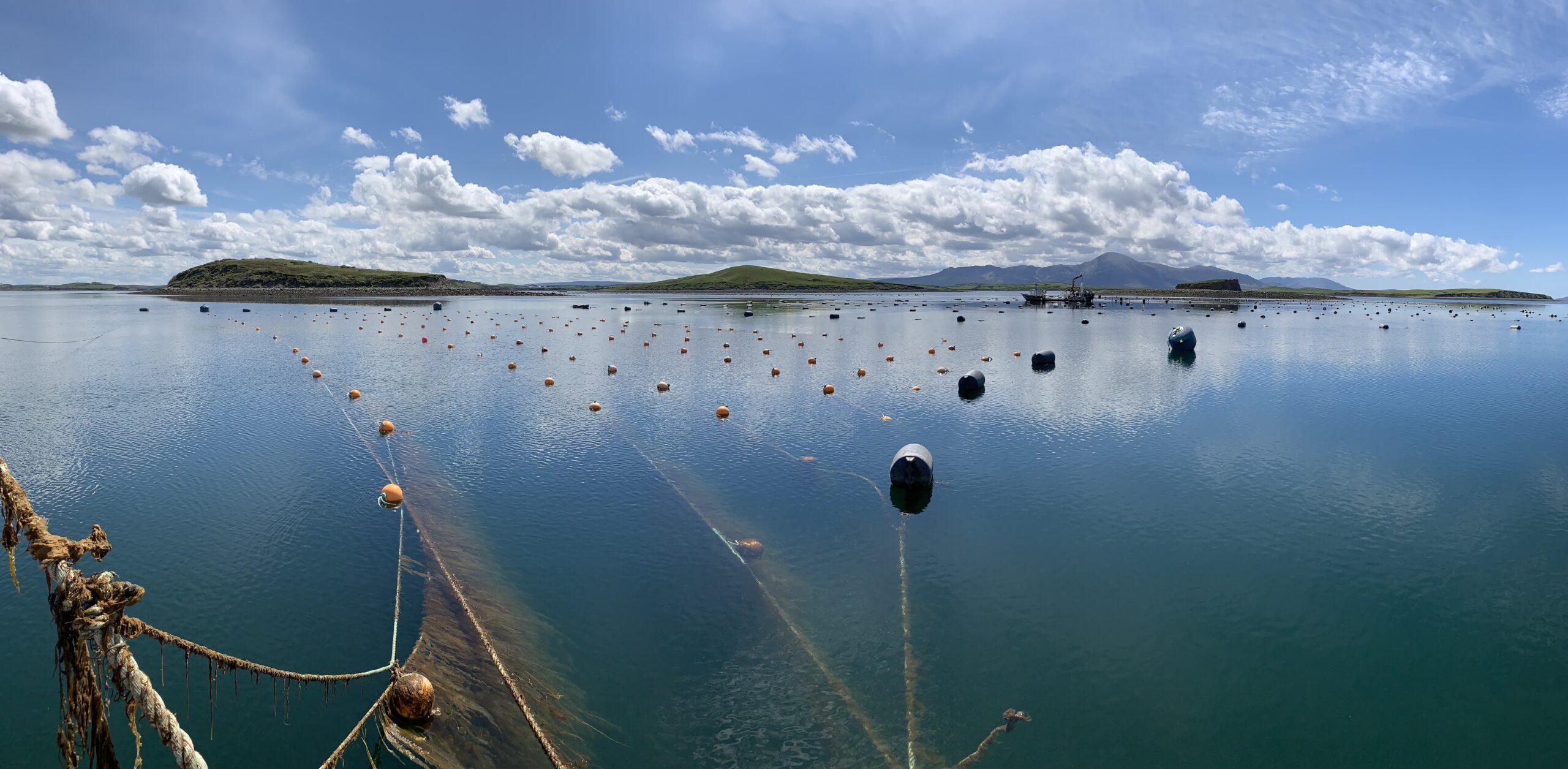 #1-Seaweed Farm Clew Bay (Ireland)